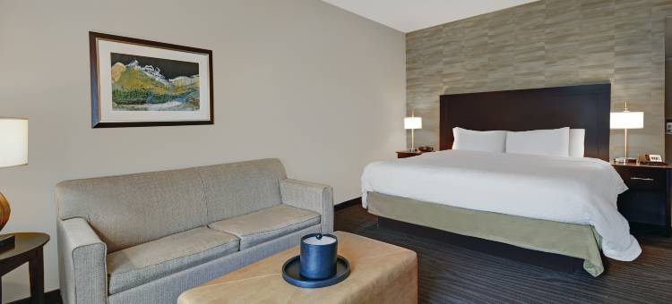 罗宾斯维尔欢朋套房酒店(Hampton Inn & Suites Robbinsville)图片