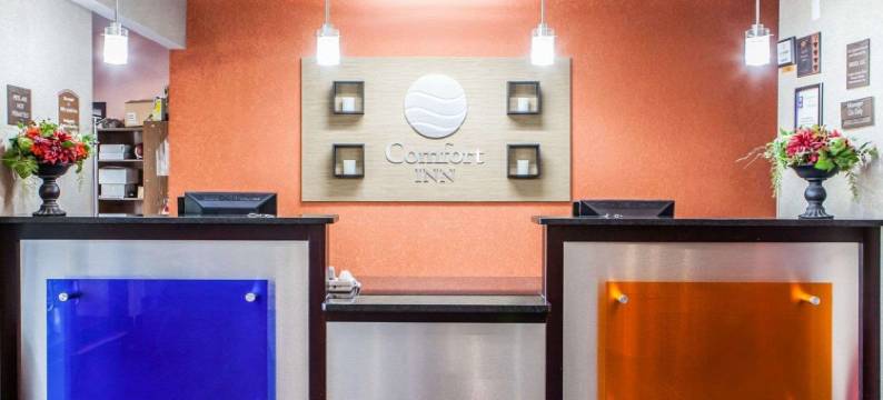 舒适酒店-利斯萨米特50号及291号高速公路(Comfort Inn Lees Summit - Hwy 50 & Hwy 291)图片