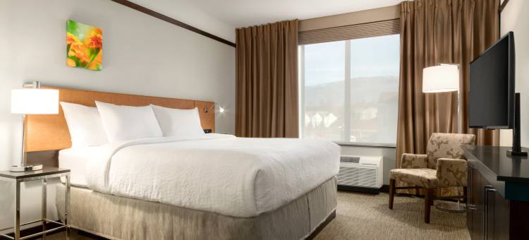 美梅德福希尔顿花园酒店(Hilton Garden Inn Medford)图片