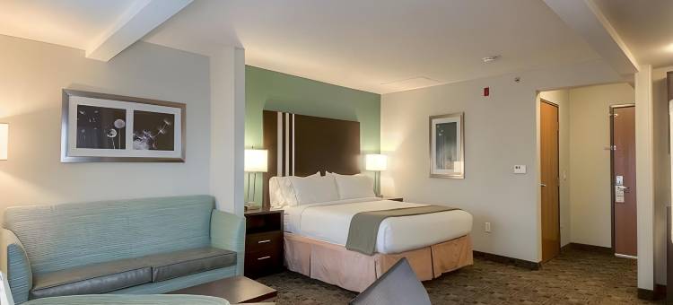 卡尔斯巴德海滩智选假日套房酒店(Holiday Inn Express & Suites Carlsbad Beach)图片