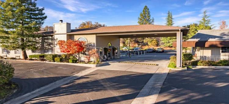 索诺拉阿拉丁汽车旅馆(Sonora Aladdin Motor Inn)图片