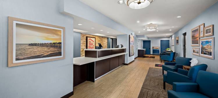 红顶PLUS套房酒店-那不勒斯市中心第五大道南(Red Roof Plus+ & Suites Naples Downtown-5th Ave S)图片