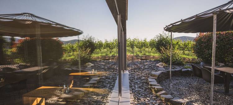 温格特格伦 - 科尼利厄斯酒店(Weingut Gehlen-Cornelius)图片