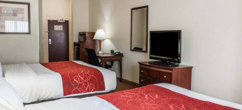 舒适套房酒店-近印第安纳波利斯机场(Comfort Suites Near Indianapolis Airport)图片