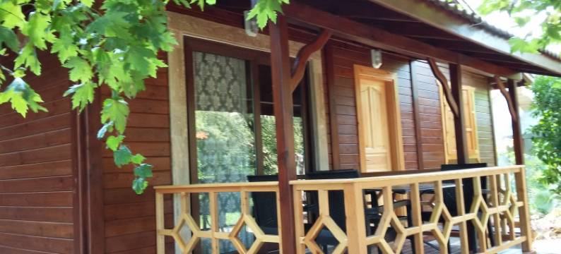 马吉村庄酒店(Maji Village)图片