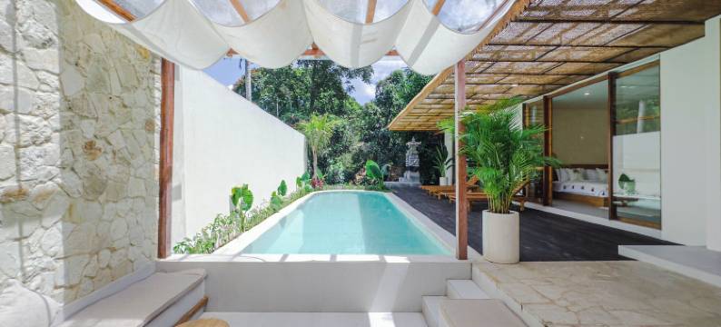 阿邦安宫乌布 - 丛林景观(Abangan Palace Ubud - Jungle View)图片