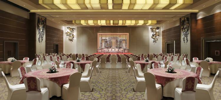 瓦多达拉苏亚宫殿美爵酒店(Grand Mercure Vadodara Surya Palace)图片