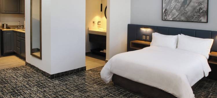 洲际酒店集团voco盐蒂约套房酒店(DoubleTree Suites by Hilton Hotel Saltillo)图片