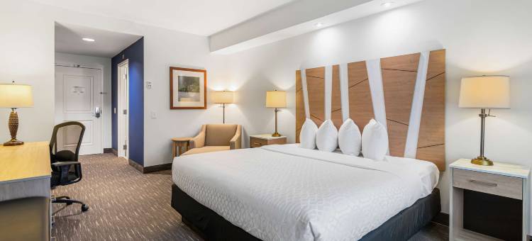 维斯盖特贝斯特韦斯特优质套房酒店(Best Western Plus Westgate Inn  Suites)图片