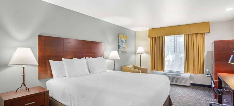 拉戈别墅贝斯特韦斯特优质酒店(Best Western Plus Villa Del Lago Inn)图片