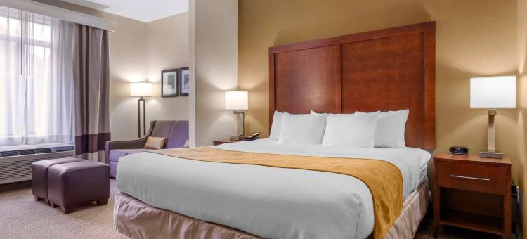 布恩大学区舒适套房酒店(Comfort Suites Boone - University Area)图片