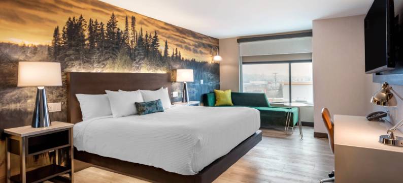 谢尔比镇-底特律坎布里亚酒店(Cambria Hotel Detroit-Shelby Township)图片