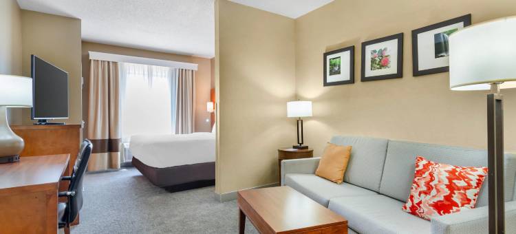 牛津 I-20 公路 188 号出口舒适全套房酒店(Comfort Suites Oxford I-20 Exit 188)图片