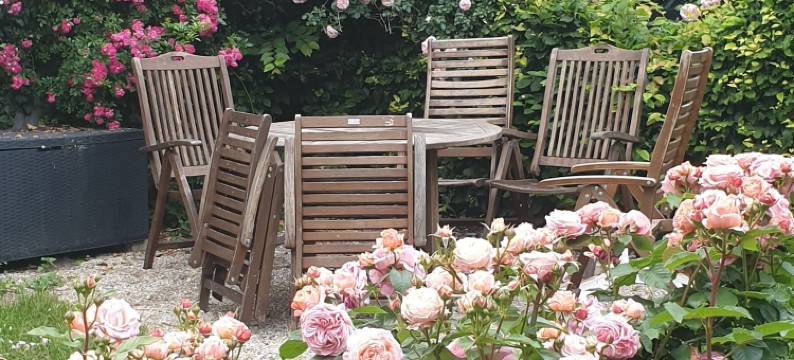 罗辛德尔小屋(Rosindell Cottage)图片