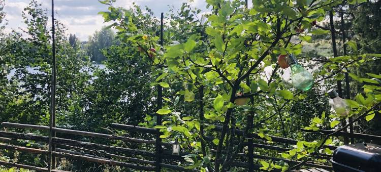 俯瞰河流的森林小屋(Tiny Hut in the Forest Overlooking the River)图片