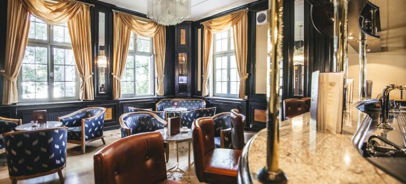 海涅别墅康体和Spa酒店(Hotel Villa Heine Wellness & Spa)图片