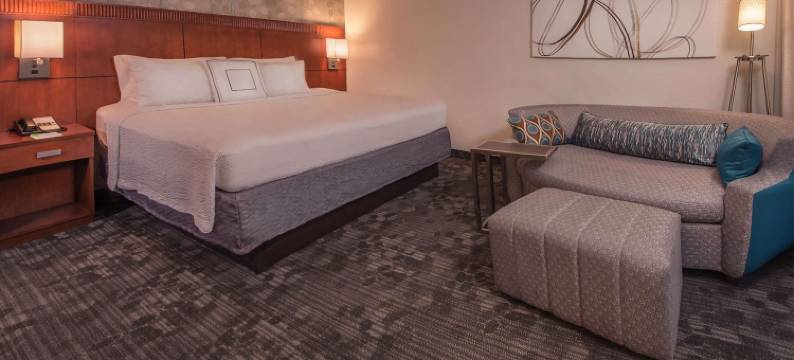 阿灵顿罗斯林索内斯塔精选酒店(Sonesta Select Arlington Rosslyn)图片