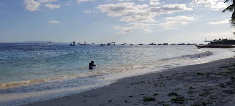 阿罗纳城堡旅馆(Citadel Alona Inn)图片