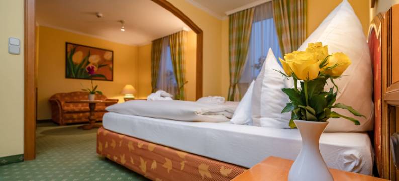 特罗因斯泰因公园酒店(Parkhotel Traunstein)图片