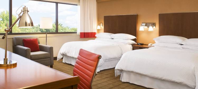 休斯顿能源大道福朋喜来登酒店(Four Points By Sheraton Houston Energy Corridor)图片