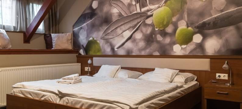 橄榄酒店(Oliva Hotel)图片