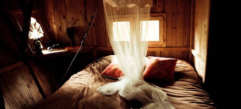 阿尔布雷卡巴内酒店(L'Arbre à Cabane)图片