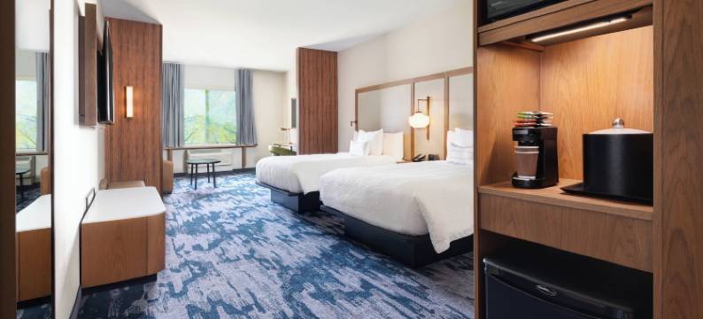 列克星敦东/I-75万枫酒店及套房(Fairfield Inn & Suites Lexington East/I-75)图片