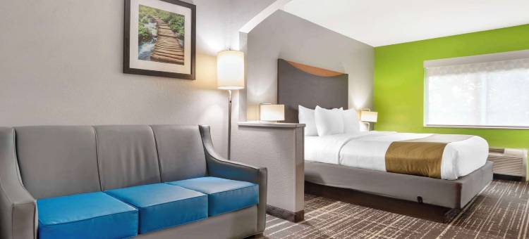 伯明翰品质酒店 - 高速公路280(Quality Inn & Suites Birmingham - Highway 280)图片