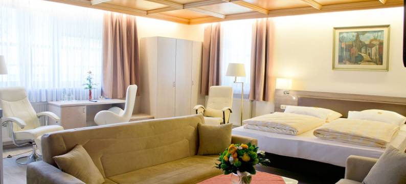 卡斯塔尼恩霍夫劳因根酒店-餐厅(Hotel - Restaurant Kastanienhof Lauingen)图片