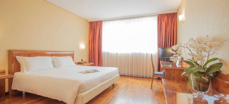 蒙特雷索大楼酒店(Montresor Hotel Tower)图片