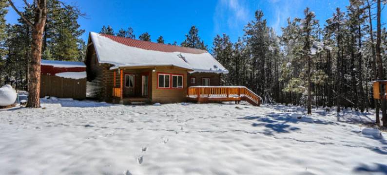 韦伯小屋山酒店(Webb Cabin Mountain)图片