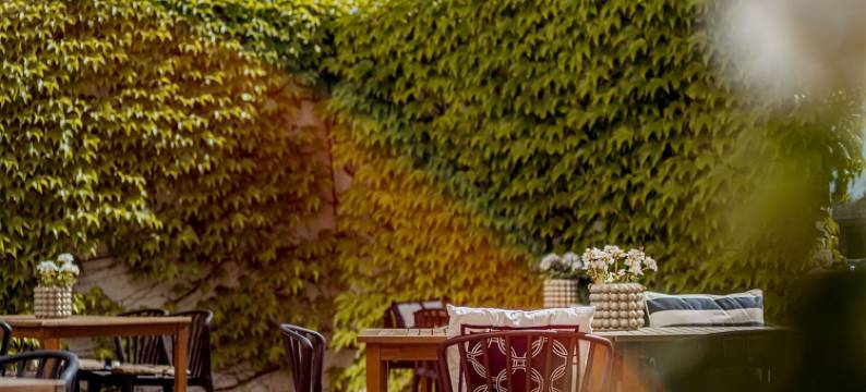 阳光会议水疗酒店(Sunlight Hotel Conference & Spa)图片