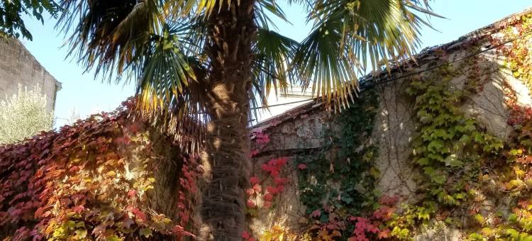 布兰奇之家酒店(The white house)图片