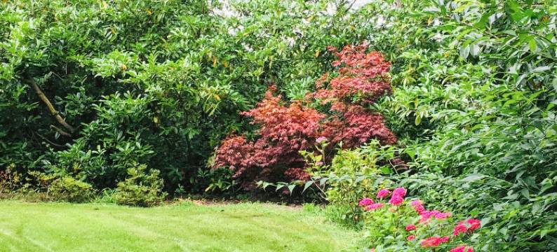 朗德好氛围宅邸酒店(Bel Air Maison d'Hotes des Landes)图片