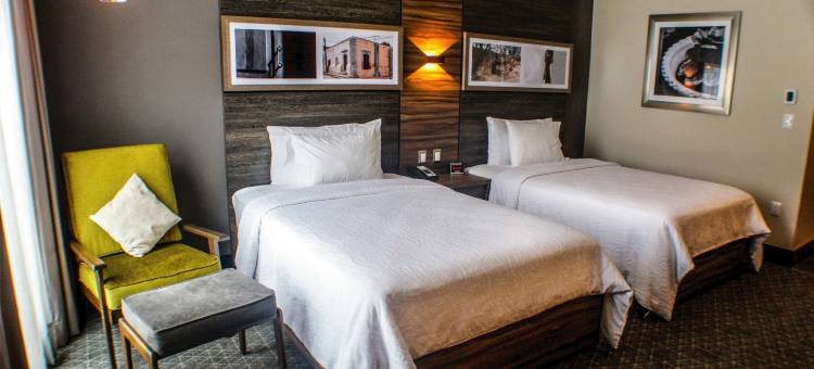 希尔顿花园酒店-阿瓜斯卡连特斯(Hilton Garden Inn Aguascalientes)图片