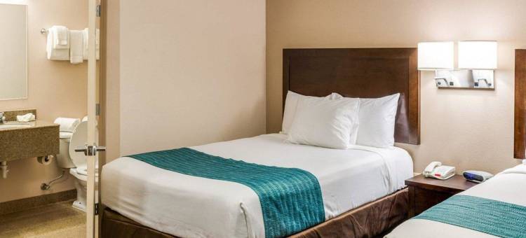 郊区公寓酒店-阿文代尔(Suburban Studios Avondale)图片