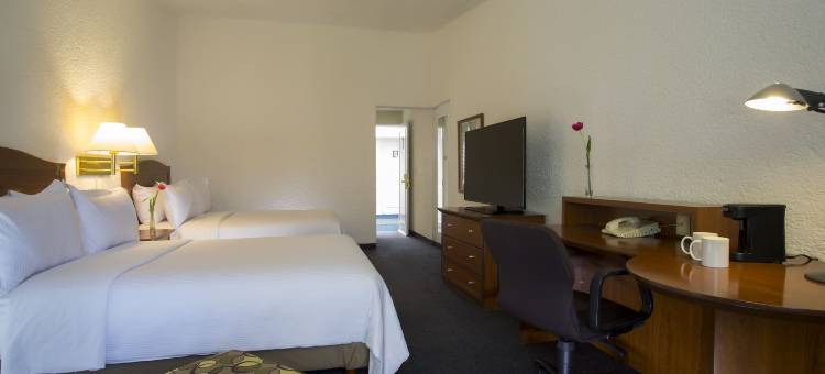 帕丘卡伽玛酒店(Gamma Pachuca)图片