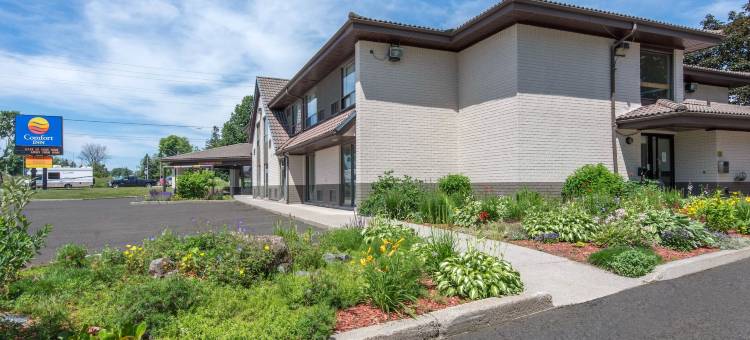 舒适酒店(Comfort Inn)图片