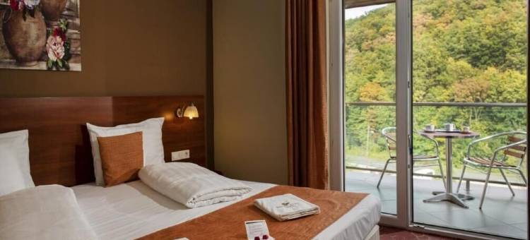 帕塔克公园酒店(Patak Park Hotel Visegrád)图片