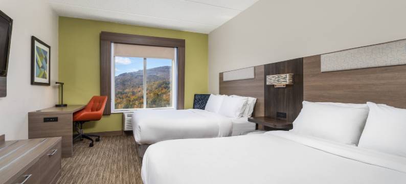智选假日套房酒店查塔努加，望风MTN(Holiday Inn Express & Suites CHATTANOOGA-LOOKOUT MTN by IHG)图片