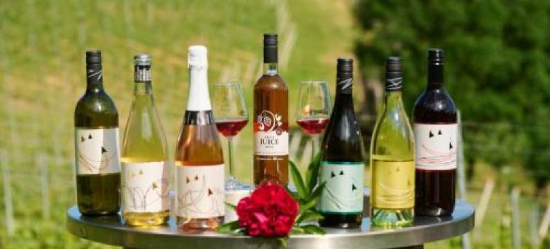 Grobelnik Tourist Farm图片