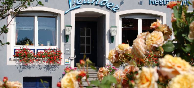 里安德酒店(Hotel Leander)图片