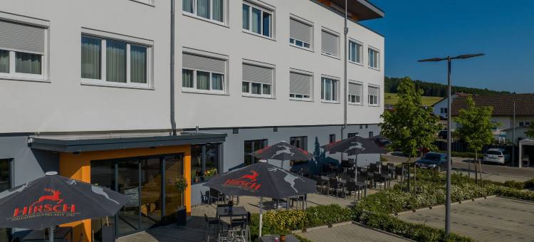 韦欣根城堡酒店(Hotel Schlossberg Wehingen)图片