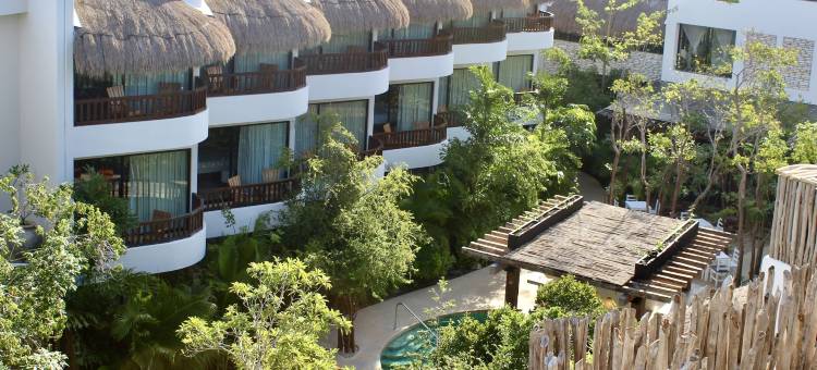 图兰阿鲁娜金普顿酒店(Kimpton Aluna Resort Tulum)图片