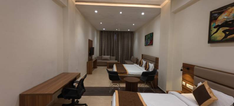 尼拉姆兰花(Neelam Orchid)图片