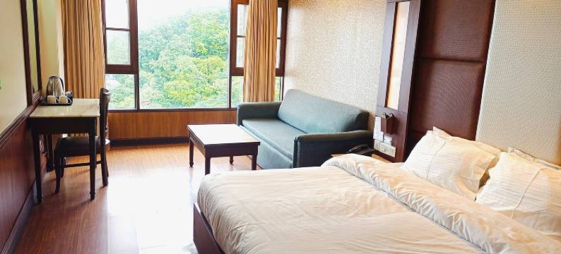 毗湿奴宫酒店(Hotel Vishnu Palace)图片