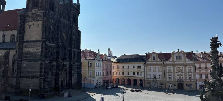 胖鸭膳宿公寓(Penzion Tlusta kachna)图片