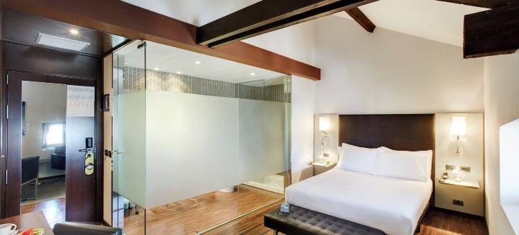 瑟科特尔西塔达尔科伊酒店(Hotel Sercotel Ciutat d'Alcoi)图片