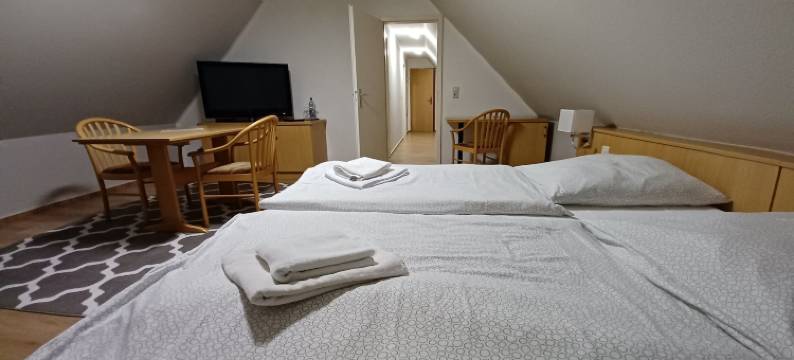 豪斯瓦德索赫酒店(Haus Waldesruh)图片