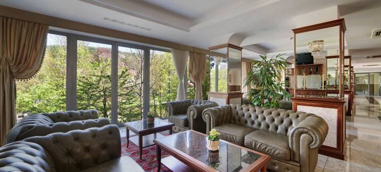 克雷尼察总统酒店(Hotel Prezydent Krynica Zdrój)图片